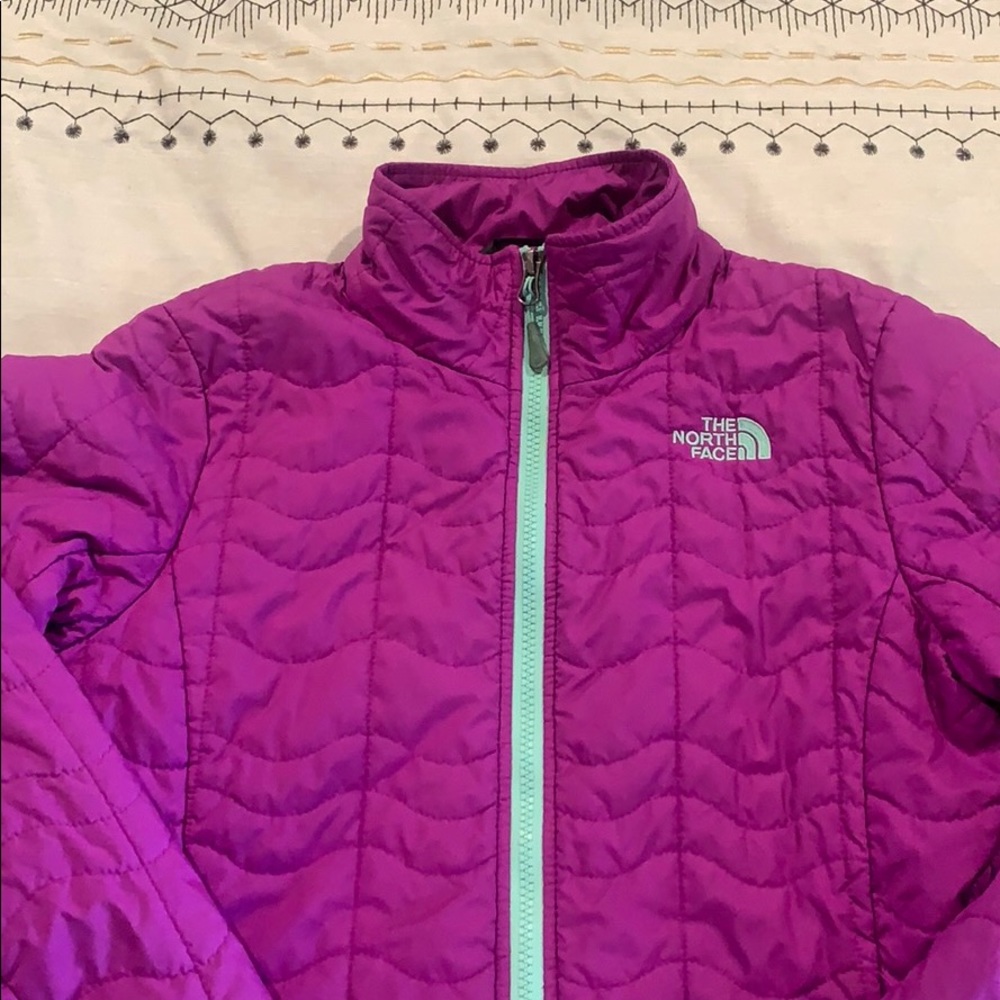 The North Face Quilted Down Jacket